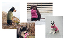 Load image into Gallery viewer, Knits for Dogs: Sweaters, Toys and Blankets for Your Furry Friend
