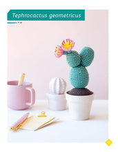 Load image into Gallery viewer, Adorable Houseplants to Crochet

