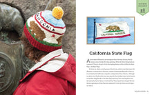 Load image into Gallery viewer, Knitting California
