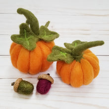 Load image into Gallery viewer, Class - Needle Felted Pumpkins, Leaves &amp; Acorns
