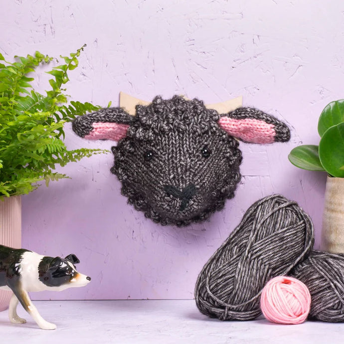 Faux Taxidermy Knit Kit - Black Sheep