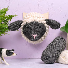 Load image into Gallery viewer, Faux Taxidermy Knit Kit - Shropshire Sheep
